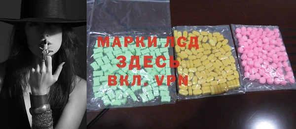 прущие грибы Вязники