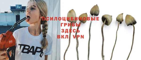 ешки Волосово