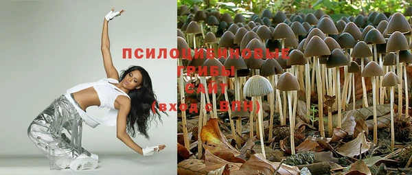 ешки Волосово