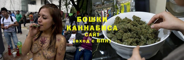 прущие грибы Вязники